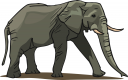 Mammal Clipart
