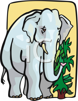 Elephant Clipart