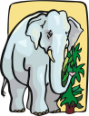 Elephant Clipart
