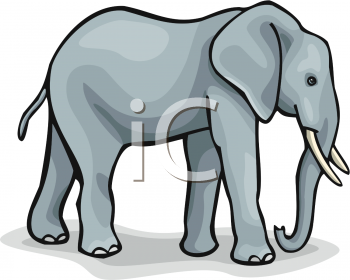 Elephant Clipart