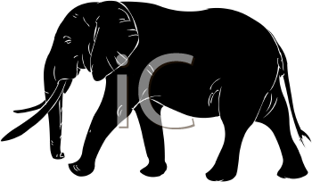 Elephant Clipart
