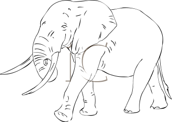 Elephant Clipart