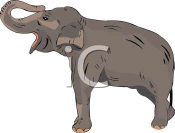Elephant Clipart