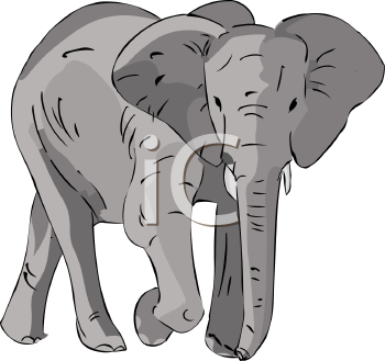 Elephant Clipart