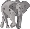 Elephant Clipart