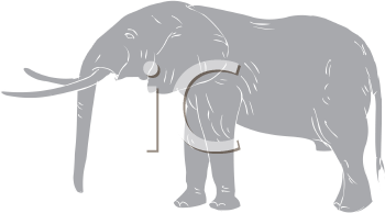 Elephant Clipart