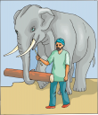 Elephant Clipart