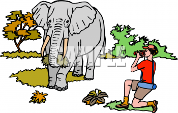 Elephant Clipart