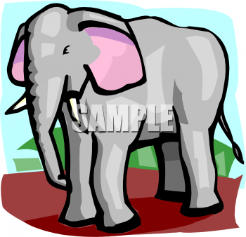 Elephant Clipart