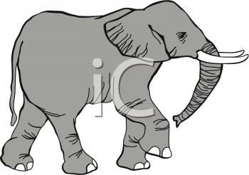 Elephant Clipart