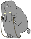 Elephant Clipart
