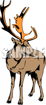 Elk Clipart