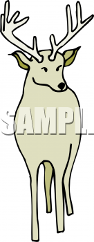 Elk Clipart