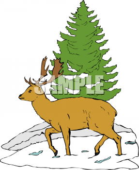 Elk Clipart