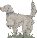 Dog Clipart