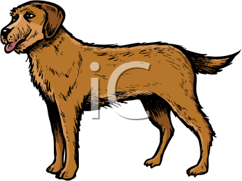 Cartoon Clipart