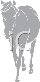 Horse Clipart