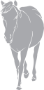 Horse Clipart