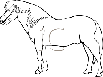 Horse Clipart