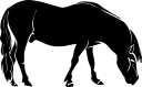 Horse Clipart