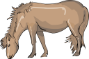 Horse Clipart