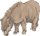 Horse Clipart