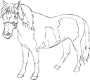 Horse Clipart