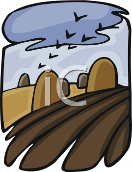 Field Clipart