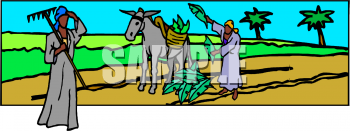 Donkey Clipart
