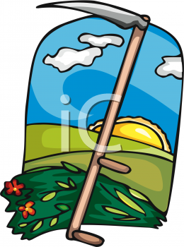 Field Clipart