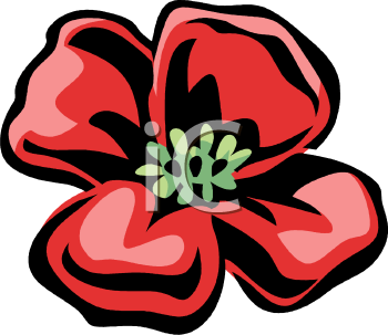 Poppy Clipart