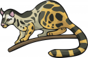 Mammal Clipart