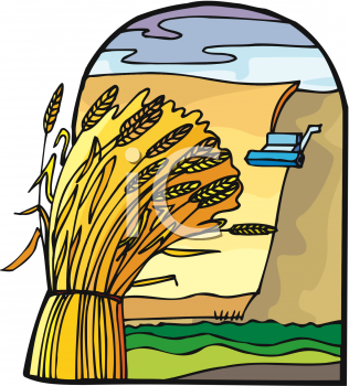 Field Clipart