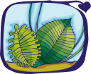 Grass Clipart