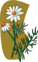 Daisy Clipart