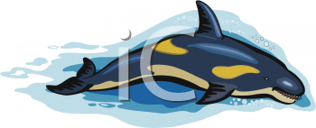 Whale Clipart