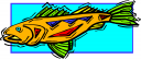 Fish Clipart