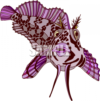 Catfish Clipart