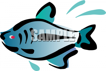 Fish Clipart