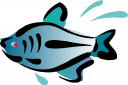Fish Clipart