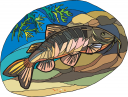 Catfish Clipart