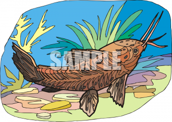 Catfish Clipart