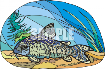 Catfish Clipart