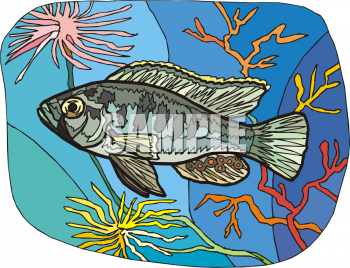 Fish Clipart