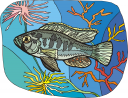 Fish Clipart
