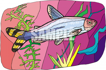 Fish Clipart