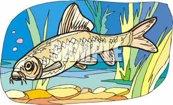 Fish Clipart