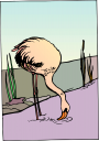 Flamingo Clipart