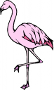 Flamingo Clipart