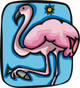 Flamingo Clipart